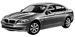 BMW F10 C20D6 Fault Code